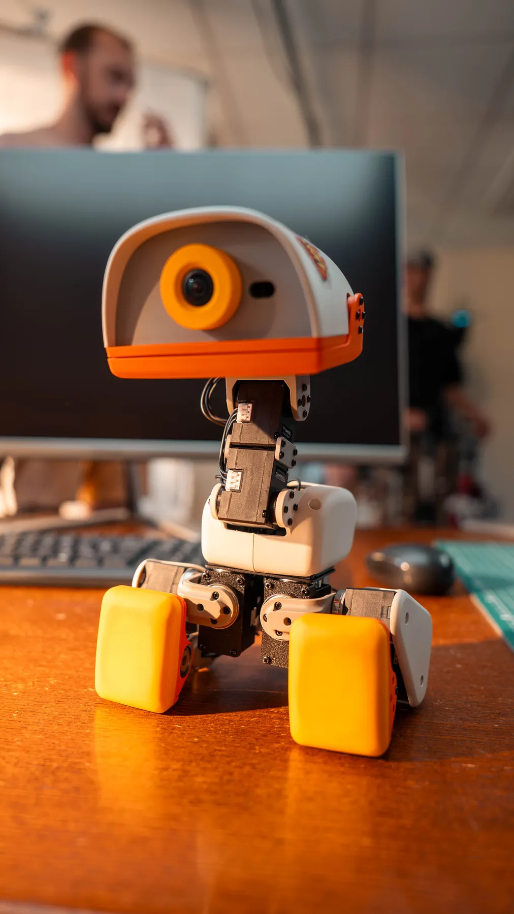 A MACRODUCK standing in front of a laptop screen in teal light